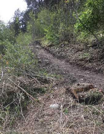 Naturwoche in Trin Kanton Graubünden der Klassen SE3c und SB3d