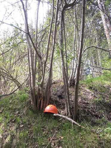 Naturwoche in Trin Kanton Graubünden der Klassen SE3c und SB3d