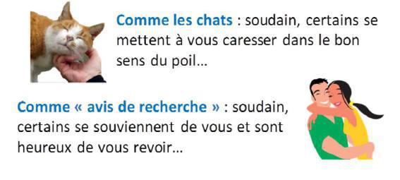 Le temps des élections