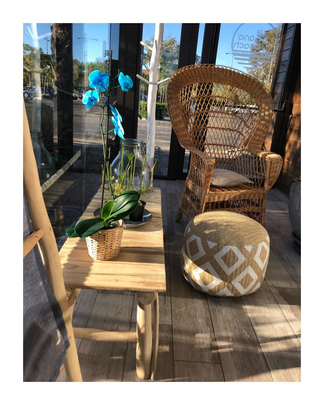 272383326_442624034213956_1427716130175195481_n