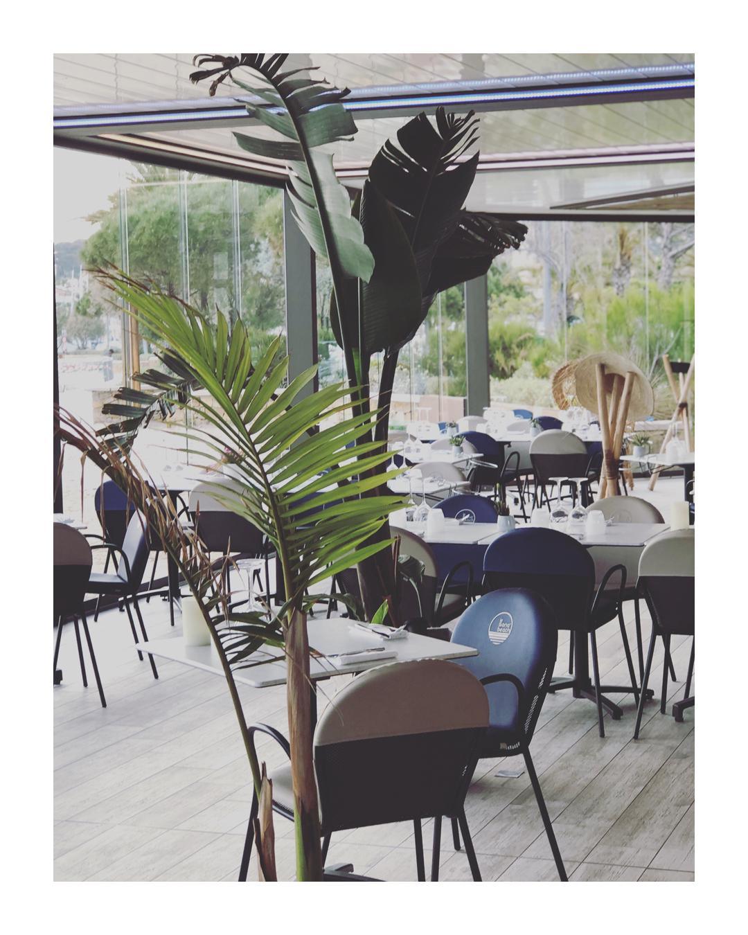 272340943_509165863877431_1827246259437356458_n