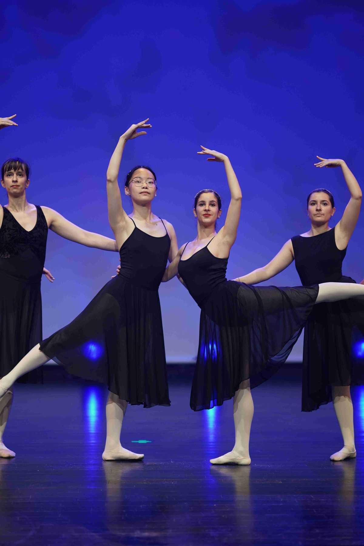 Cours de Danse Classique pour Ados/Adultes (Intermédiaire-Avancé) à Metz