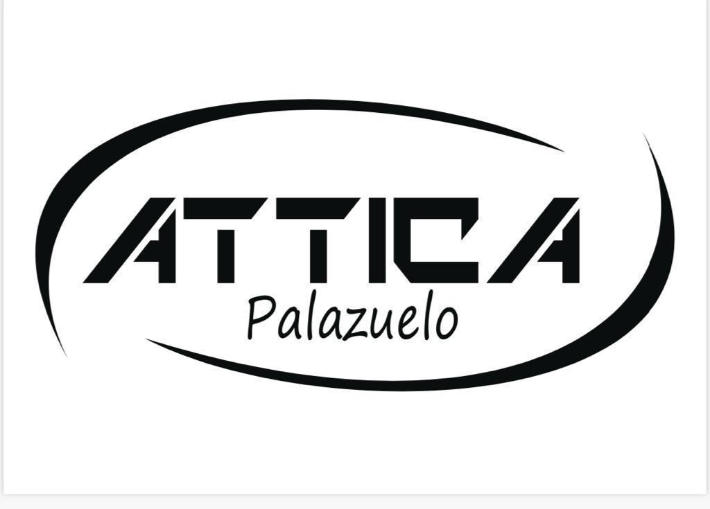 DISCO ATTICA