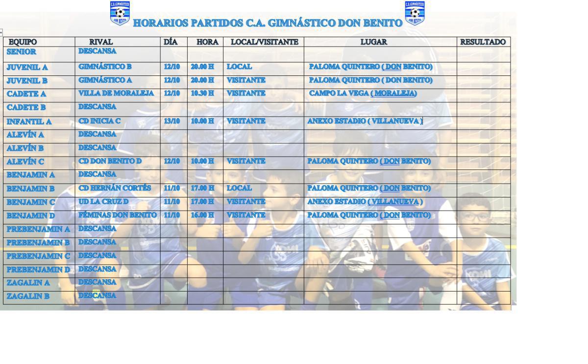 HORARIOS PARTIDOS 12-13/10