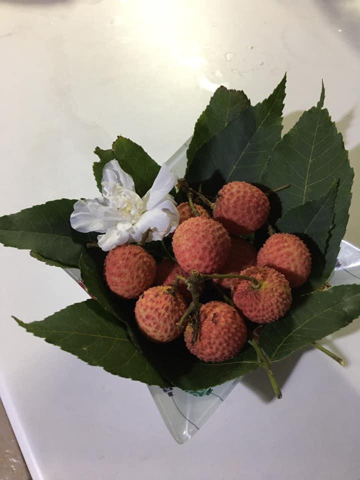 Frutta Tropicale Donna Alba