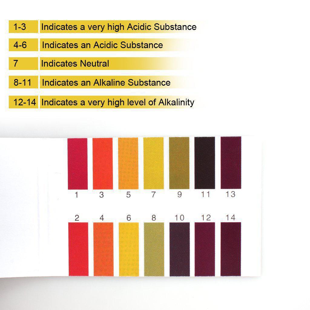 Si Può Bere Prima Delle Analisi Delle Urine Analisi delle urine
