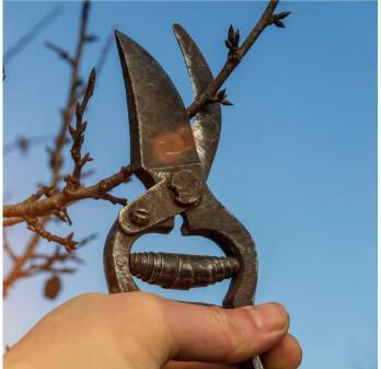 1-9 Abiding - Maintaining Continual Fellowship with the Lord 1-9 Abiding - Maintaining Continual Fellowship with the Lord