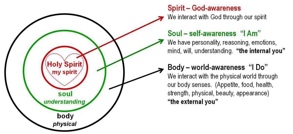 1-4 The Spiritual Anatomy of a Christian 1-4 The Spiritual Anatomy of a Christian