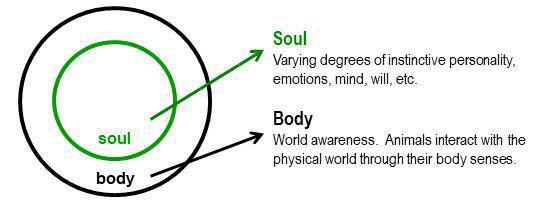 1-4 The Spiritual Anatomy of a Christian 1-4 The Spiritual Anatomy of a Christian