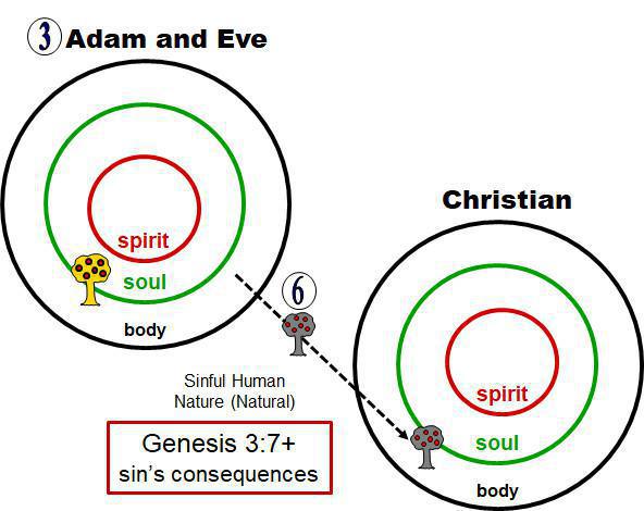 1-5 God's Divine Nature (His Character) and My Human Nature