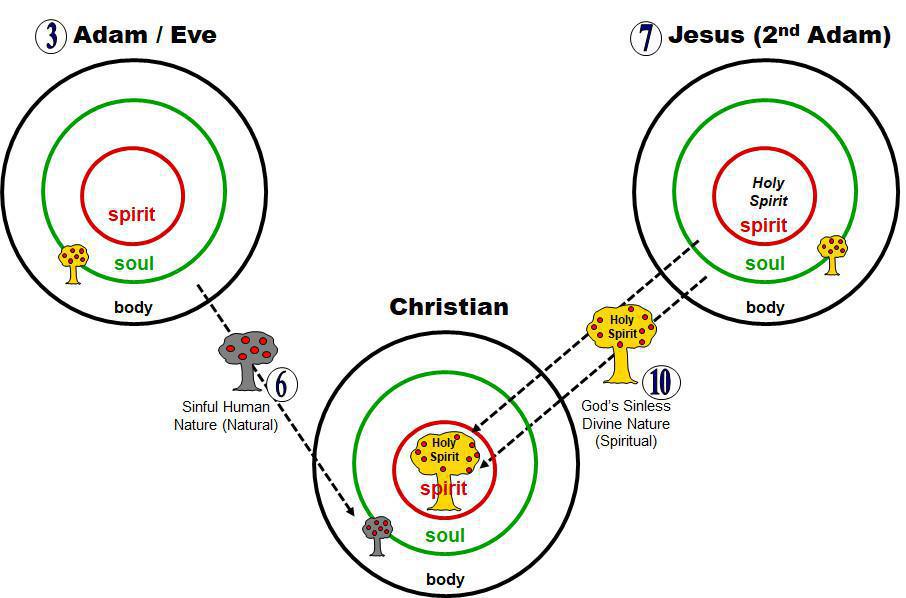 1-5 God's Divine Nature (His Character) and My Human Nature