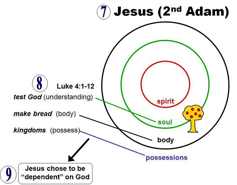 1-5 God's Divine Nature (His Character) and My Human Nature 1-5 God's Divine Nature (His Character) and My Human Nature