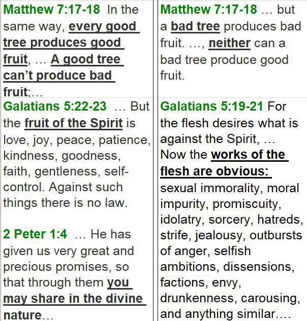 1-8 Review of My Two Natures 