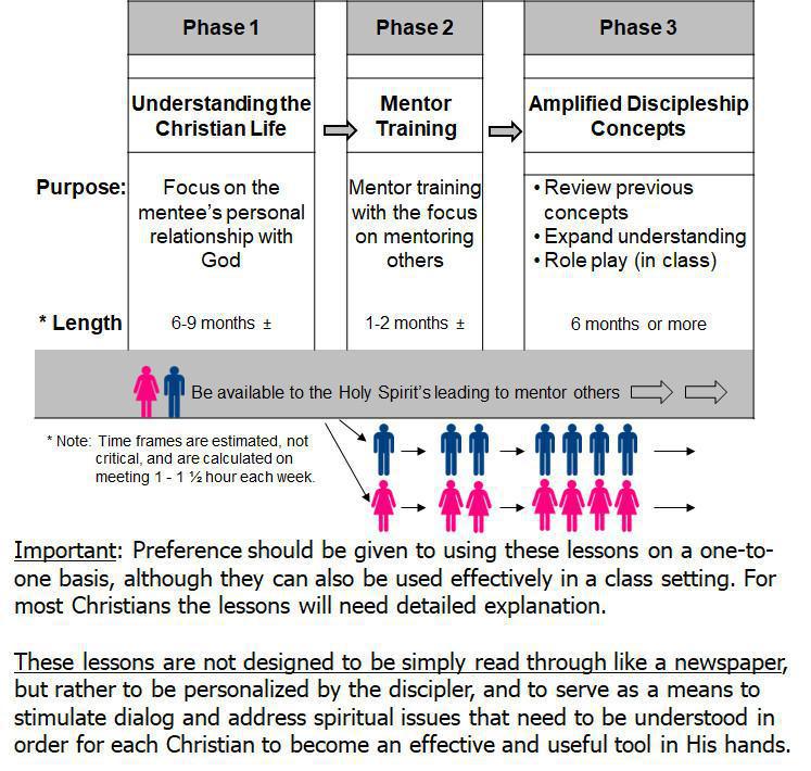 Next Steps After Phase 1