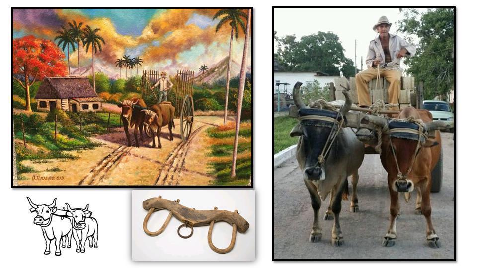 3-5 Lordship Principles 3-5 Lordship Principles