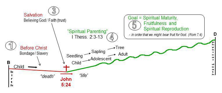 1-1 Overview of the Normal Christian Life