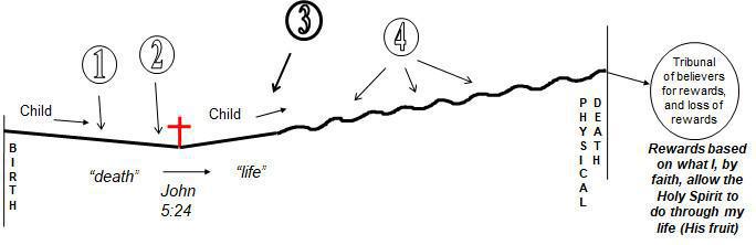 Consider Balanced Discipleship Consider Balanced Discipleship