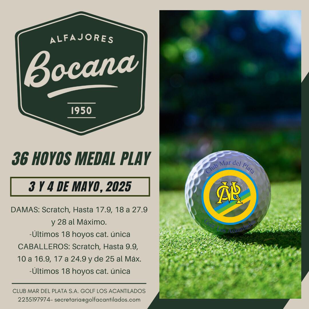 ACTIVIDAD MAYO