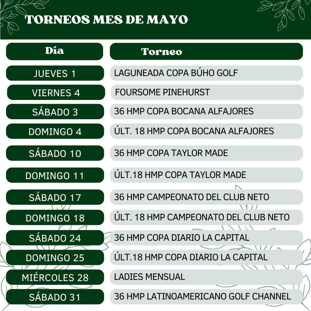 ACTIVIDAD MAYO