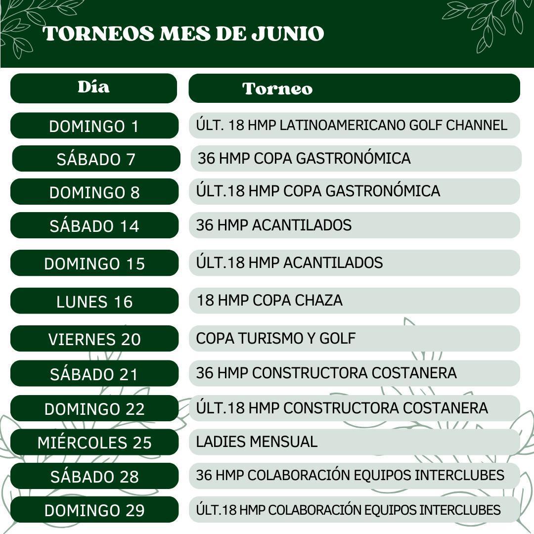ACTIVIDAD JUNIO 