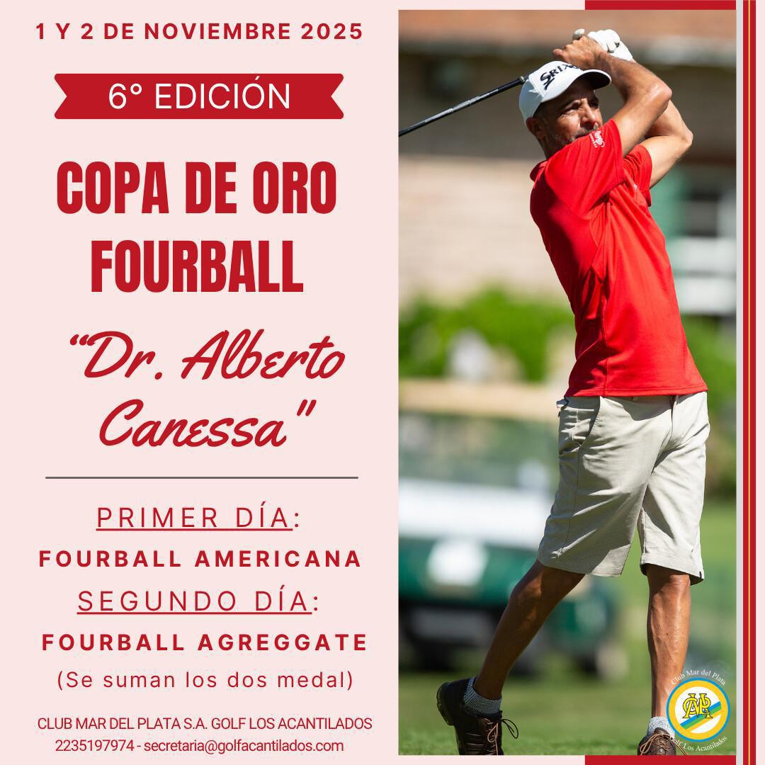ACTIVIDAD NOVIEMBRE 