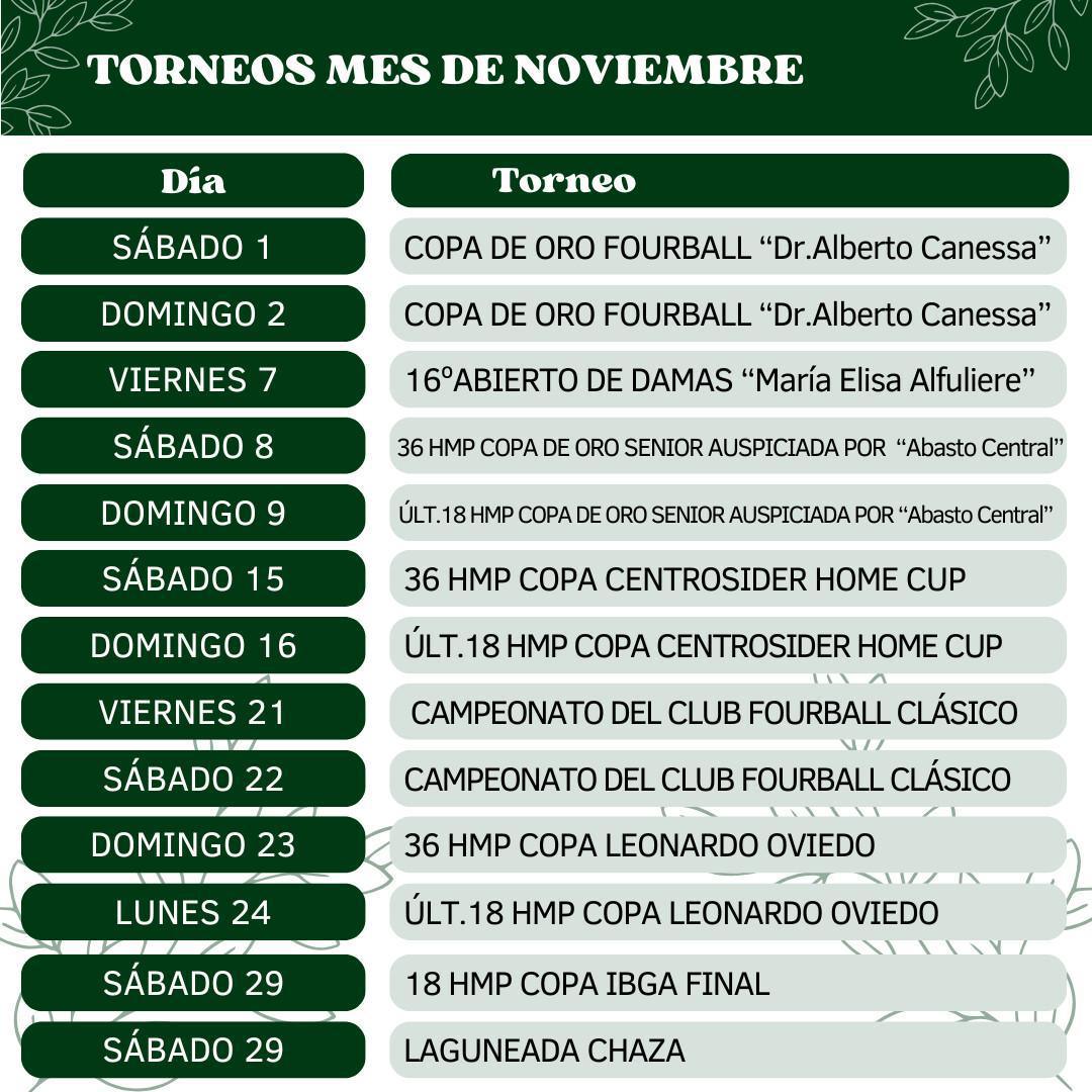 ACTIVIDAD NOVIEMBRE 