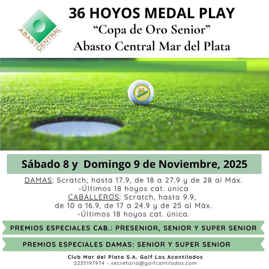 ACTIVIDAD NOVIEMBRE 