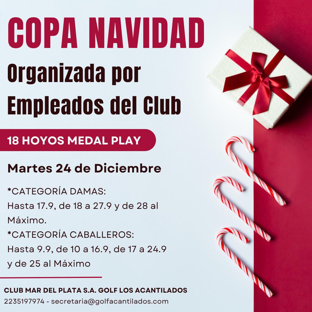 ACTIVIDAD DICIEMBRE 