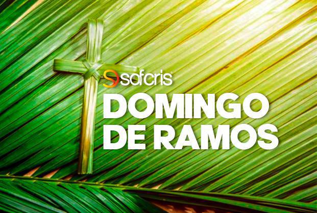 DÍA DE DOMINGO DE RAMOS
