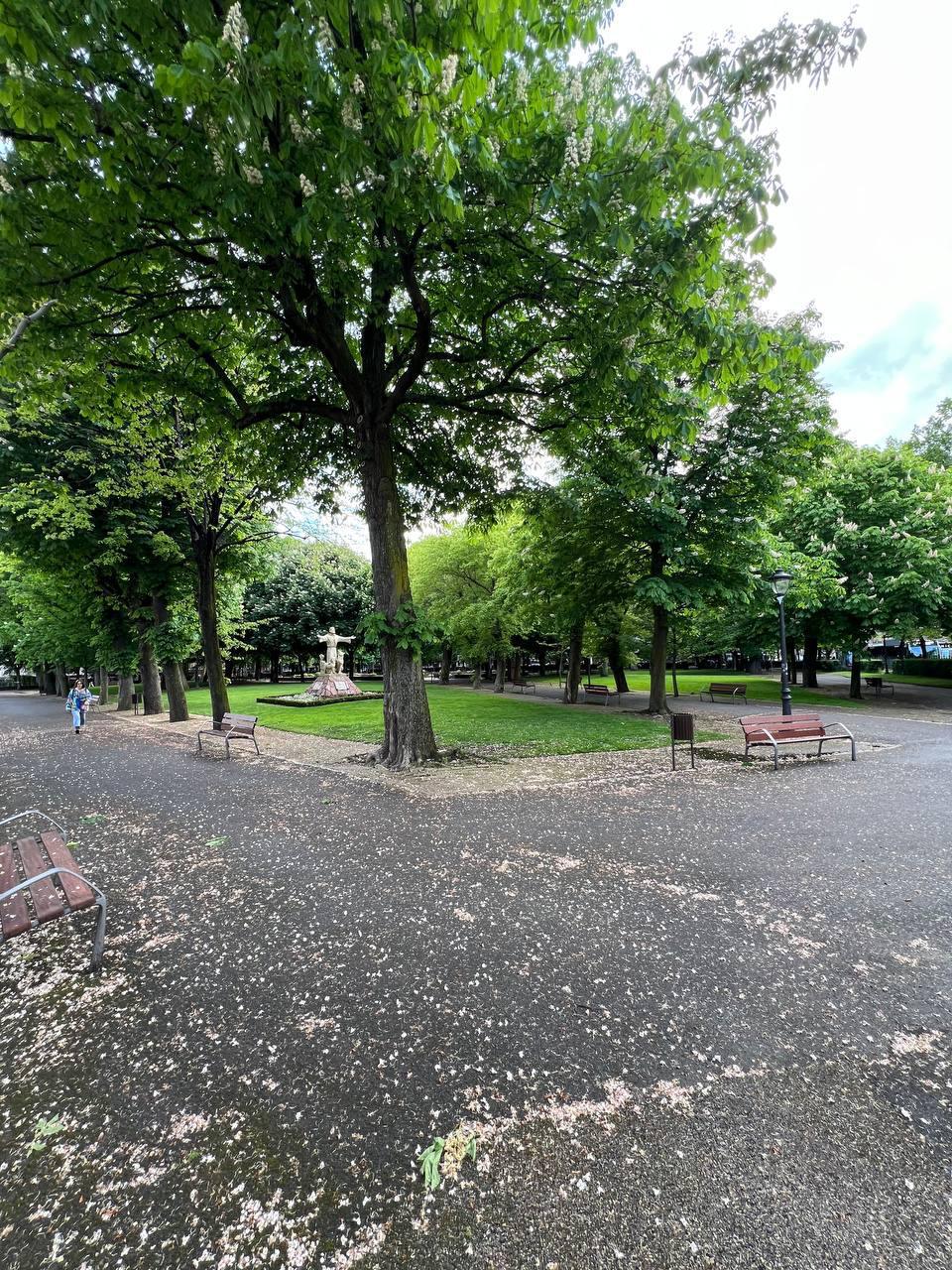 Jardín de San Francisco