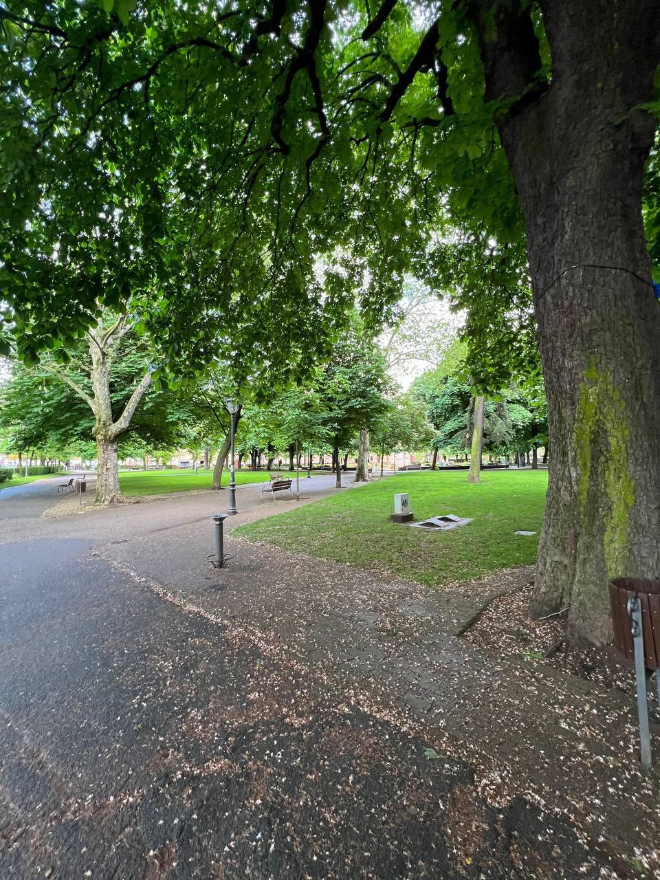 Jardín de San Francisco