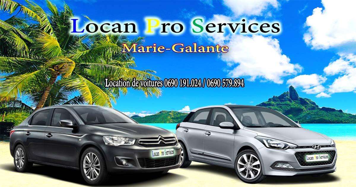 Locan Pro Services