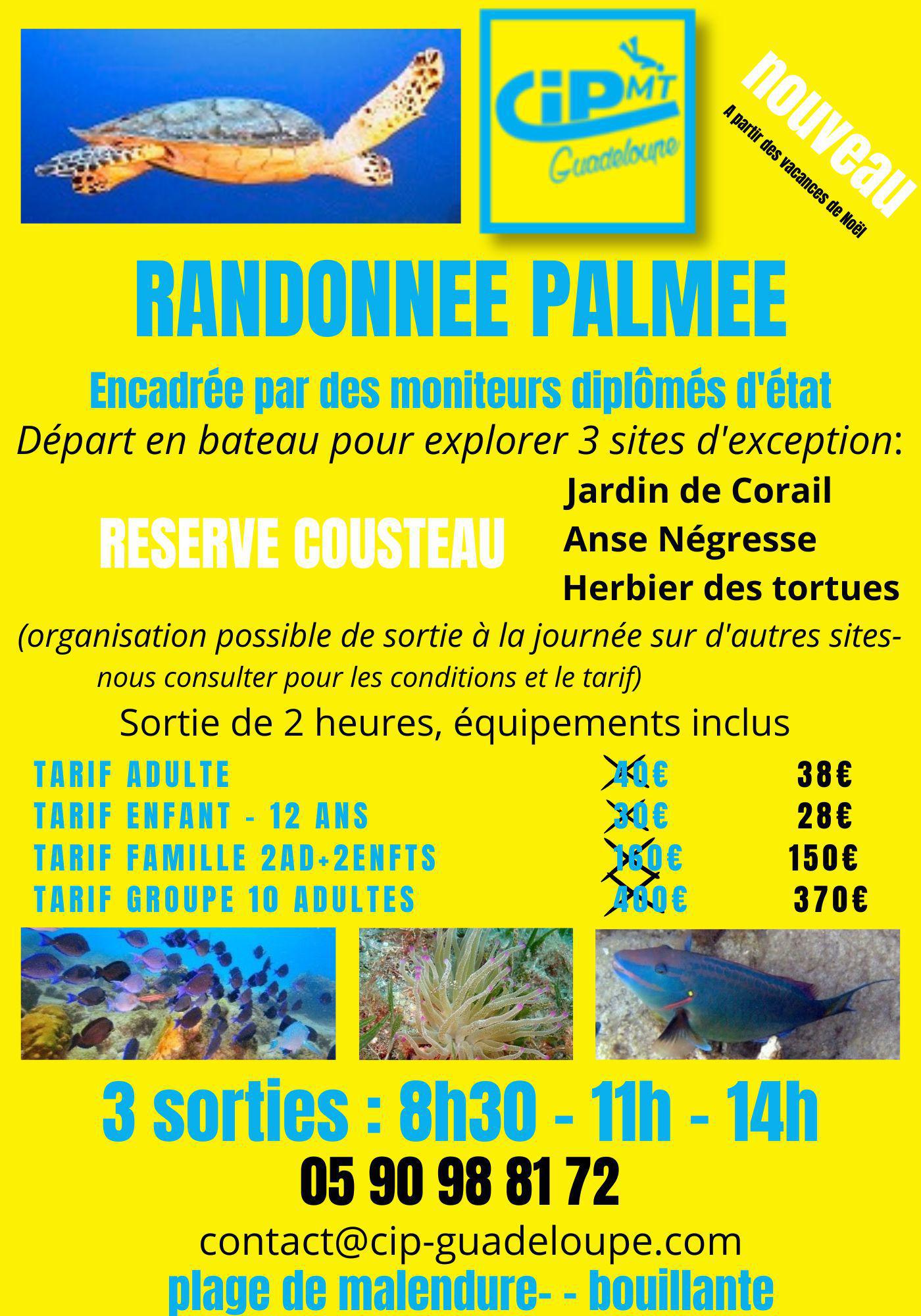 CIP PLONGEE