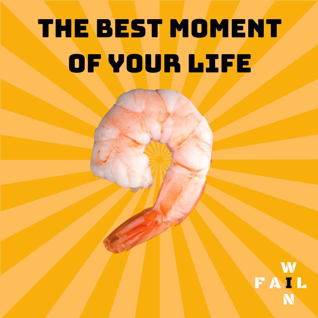 The Best Moment of Your Life The Best Moment of Your Life