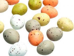 Les Oeufs de Mouette