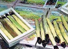 Les Asperges d'Alsace en Chocolat