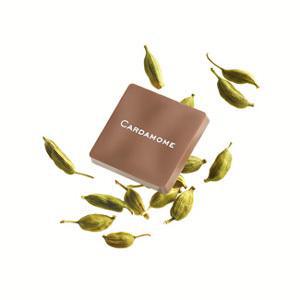 Les Saveurs du Monde épicées de Pierre Marcolini