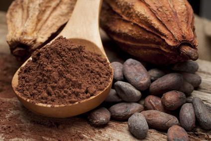 Poudre de cacao©