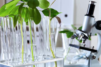 © Sergey Nivens - Fotolia