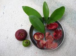 Les fruits du Kokum©