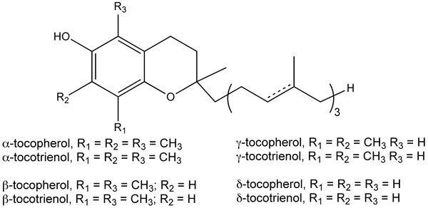 La formule de la vitamine E©