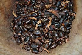 Féves de cacao grillées©