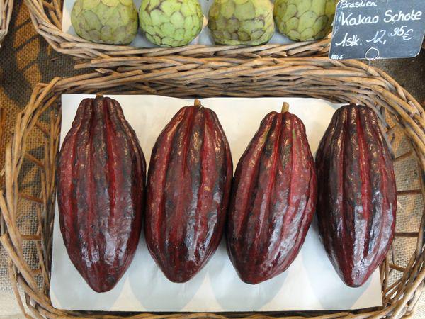 Fruits du cacaoyer©