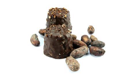 Rochers au chocolat©