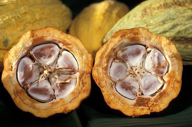 Fèves de cacao©