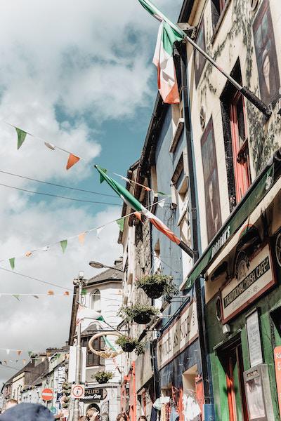 Rue en Irelande Tamara-Gurtler