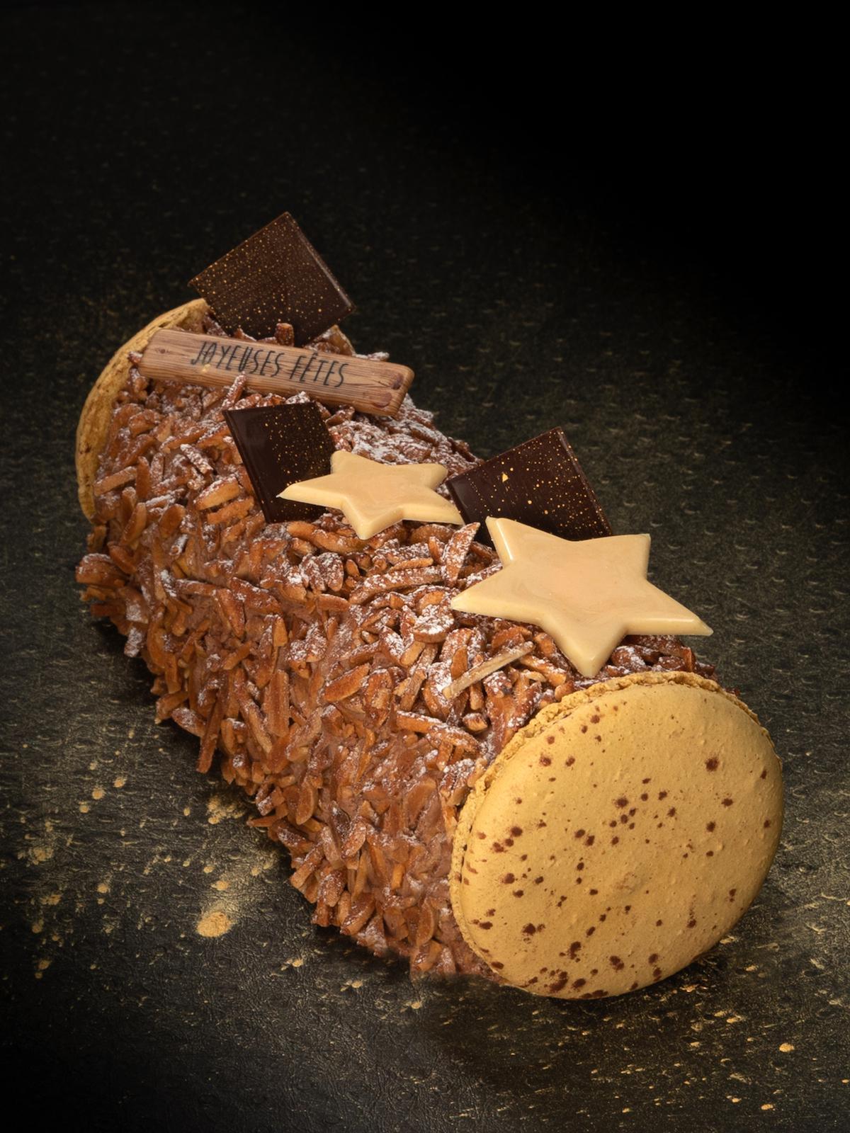 Bûche "Progrès glacé"©