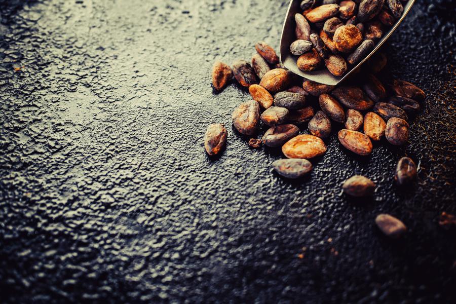 fève de cacao