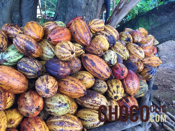 ©ChocoClic.com