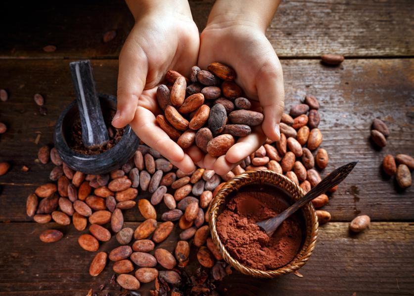 fève de cacao